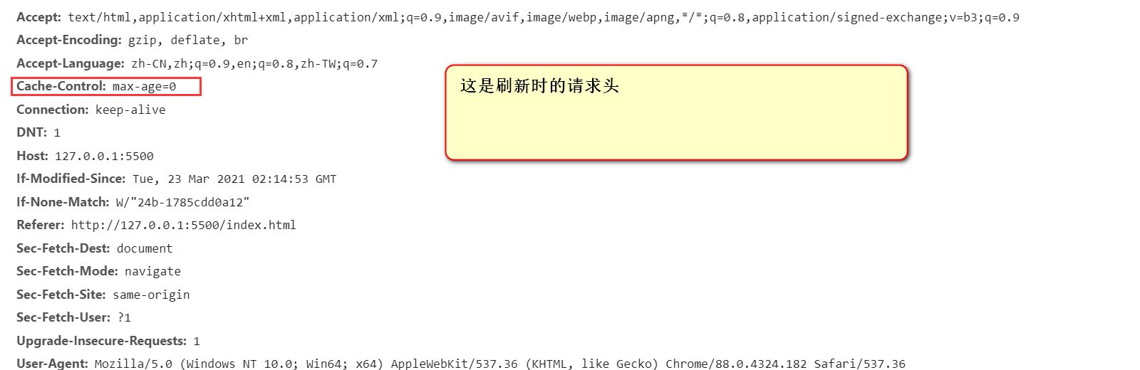 image-20210323103036231